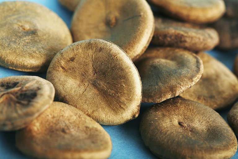 Hạt Mã tiền có tác dụng gì?- Ảnh 1.