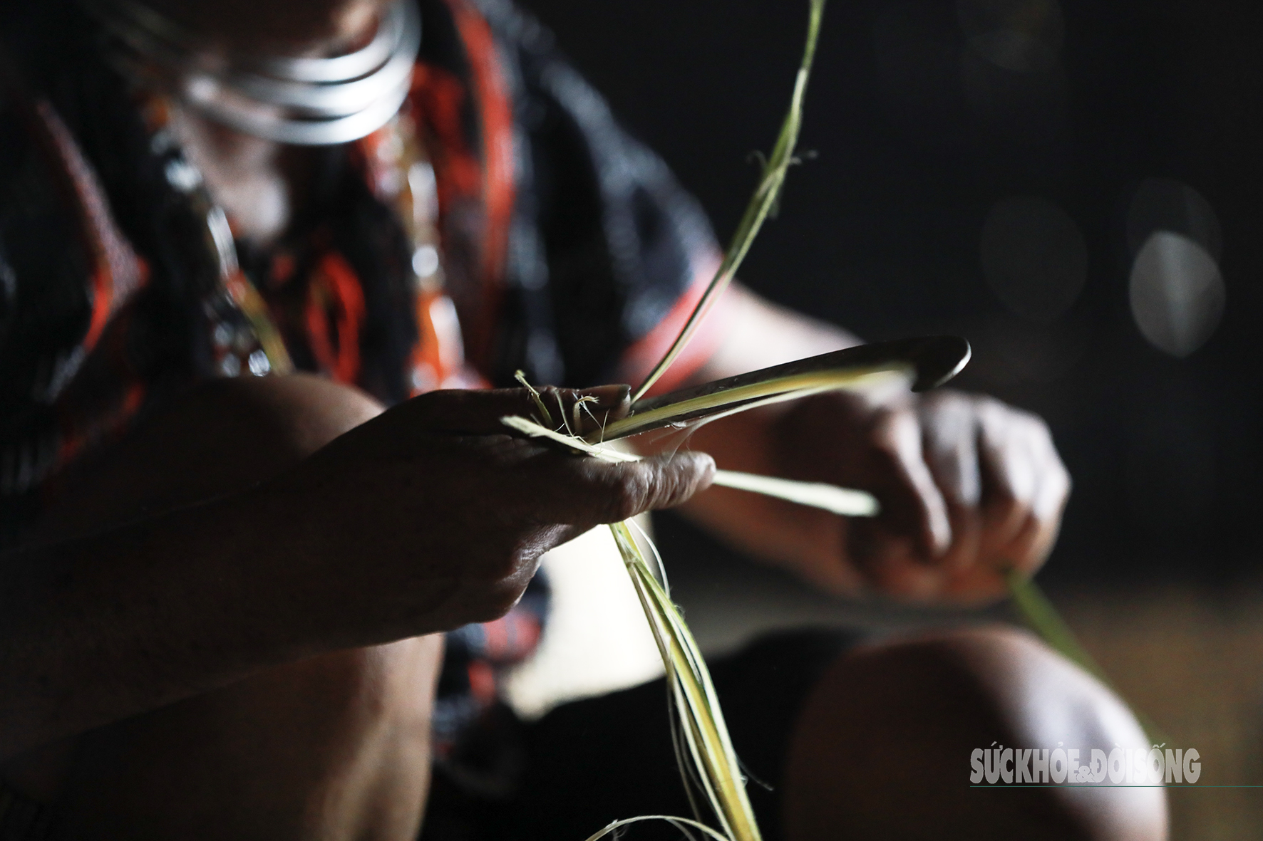 'Hồn tre' giữ nhịp thở đại ngàn- Ảnh 3.