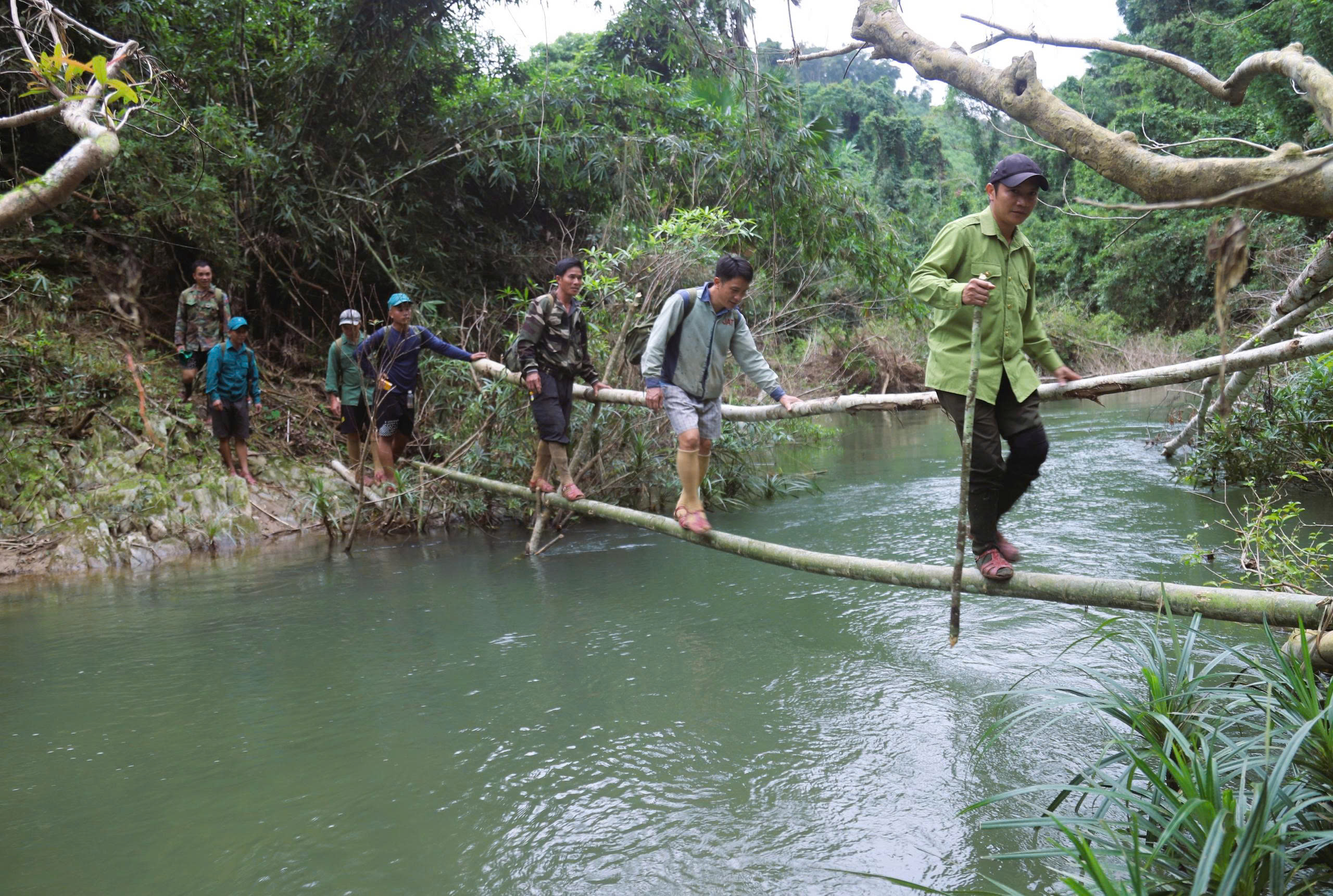 Lắp đặt hơn 60 bẫy ảnh giám sát động vật quý hiếm ở Khu bảo tồn thiên nhiên Pù Huống- Ảnh 1.