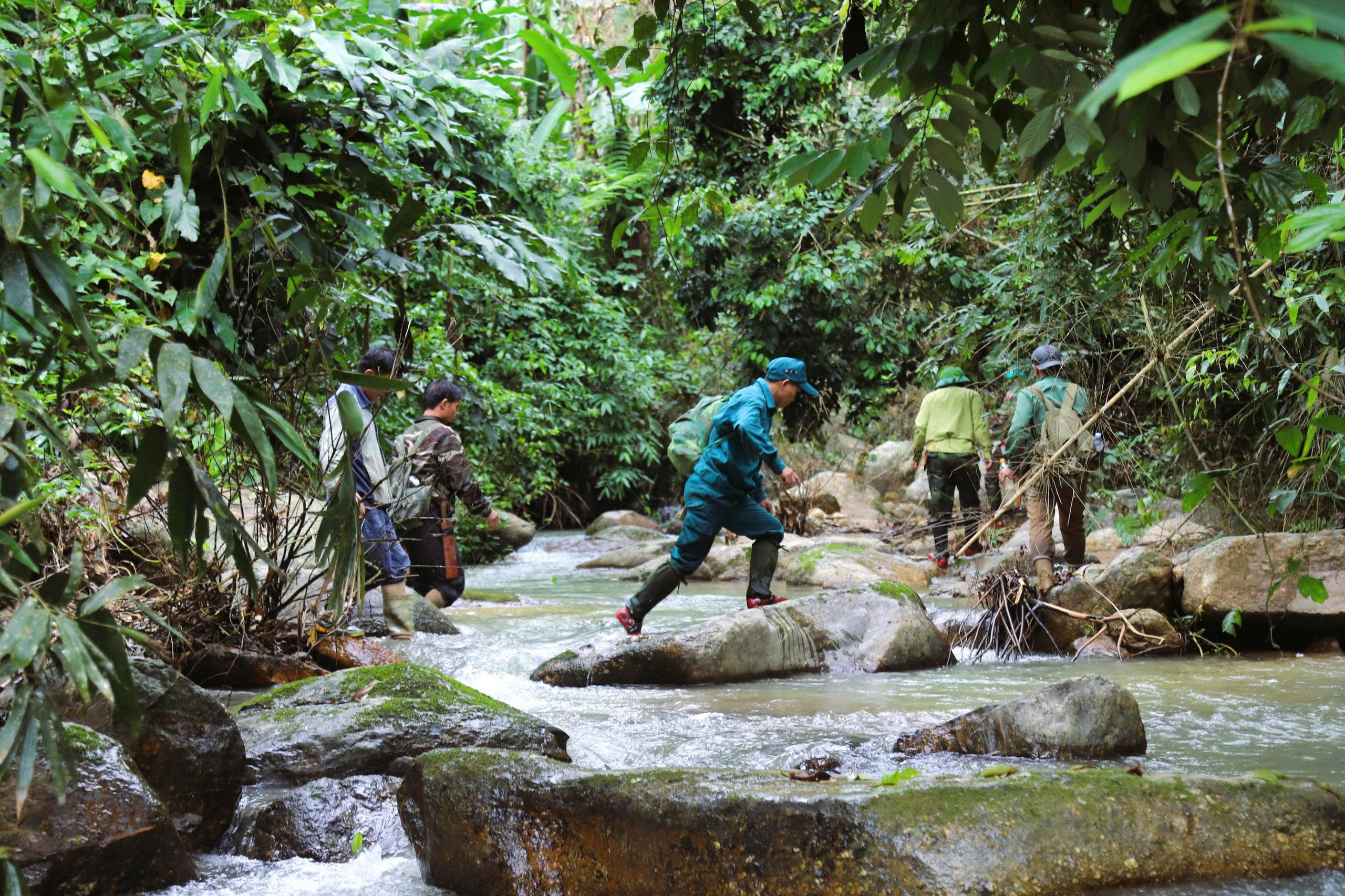 Lắp đặt hơn 60 bẫy ảnh giám sát động vật quý hiếm ở Khu bảo tồn thiên nhiên Pù Huống- Ảnh 4.