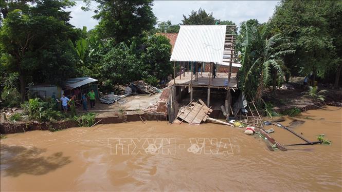 Đồng Tháp công bố tình huống khẩn cấp sạt lở bờ sông Tiền- Ảnh 1. Đồng Tháp công bố tình huống khẩn cấp sạt lở bờ sông Tiền- Ảnh 1.