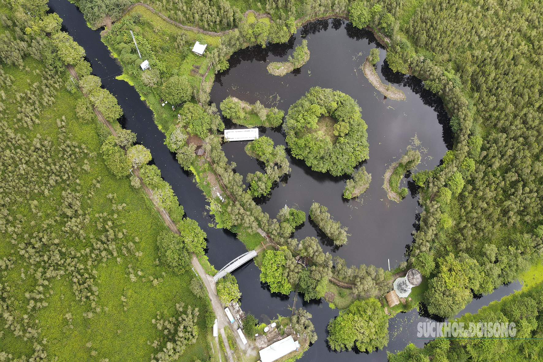 Vẻ đẹp nguyên sơ của 'ốc đảo sinh quyển' U Minh Thượng- Ảnh 1.