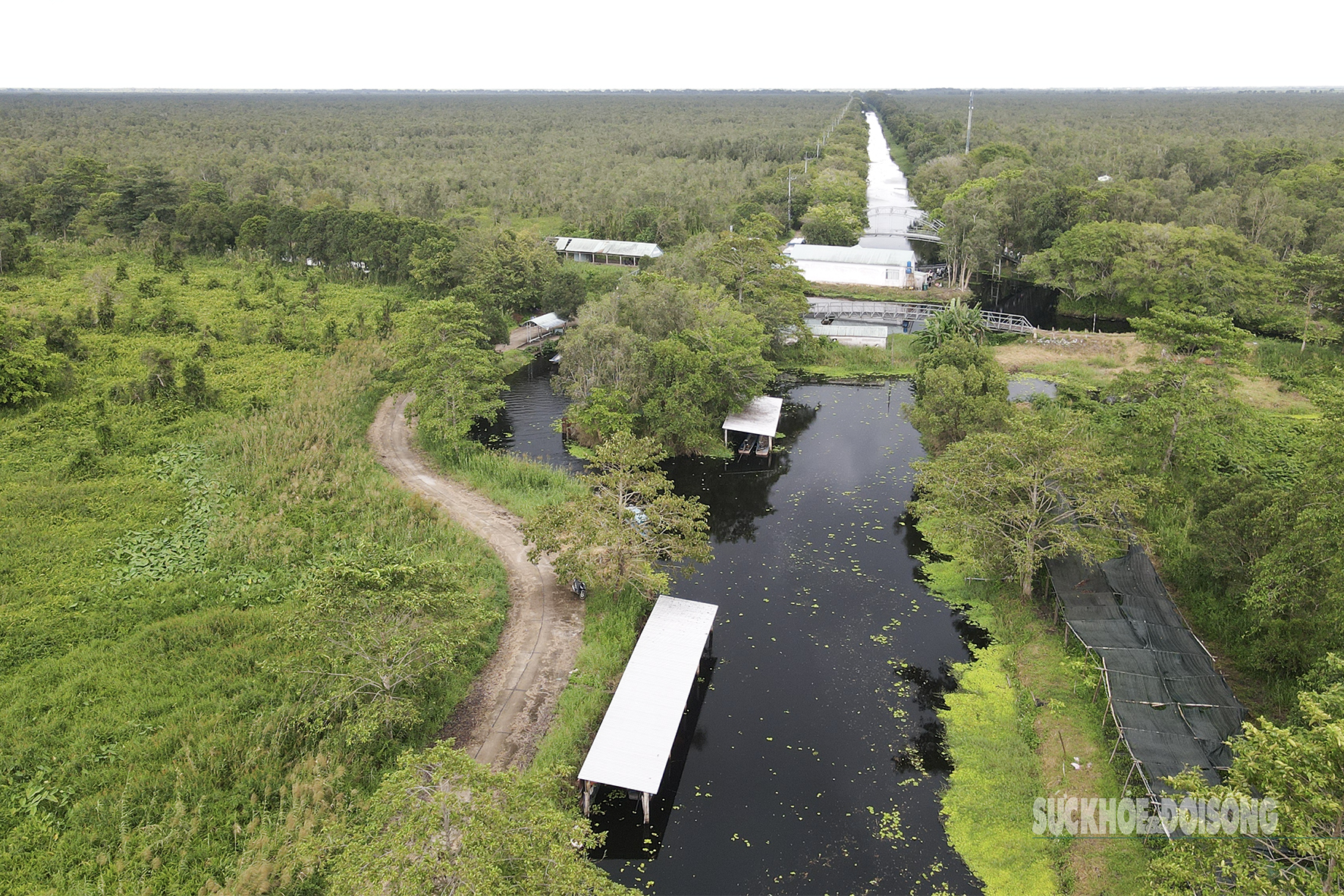 Vẻ đẹp nguyên sơ của 'ốc đảo sinh quyển' U Minh Thượng- Ảnh 6.