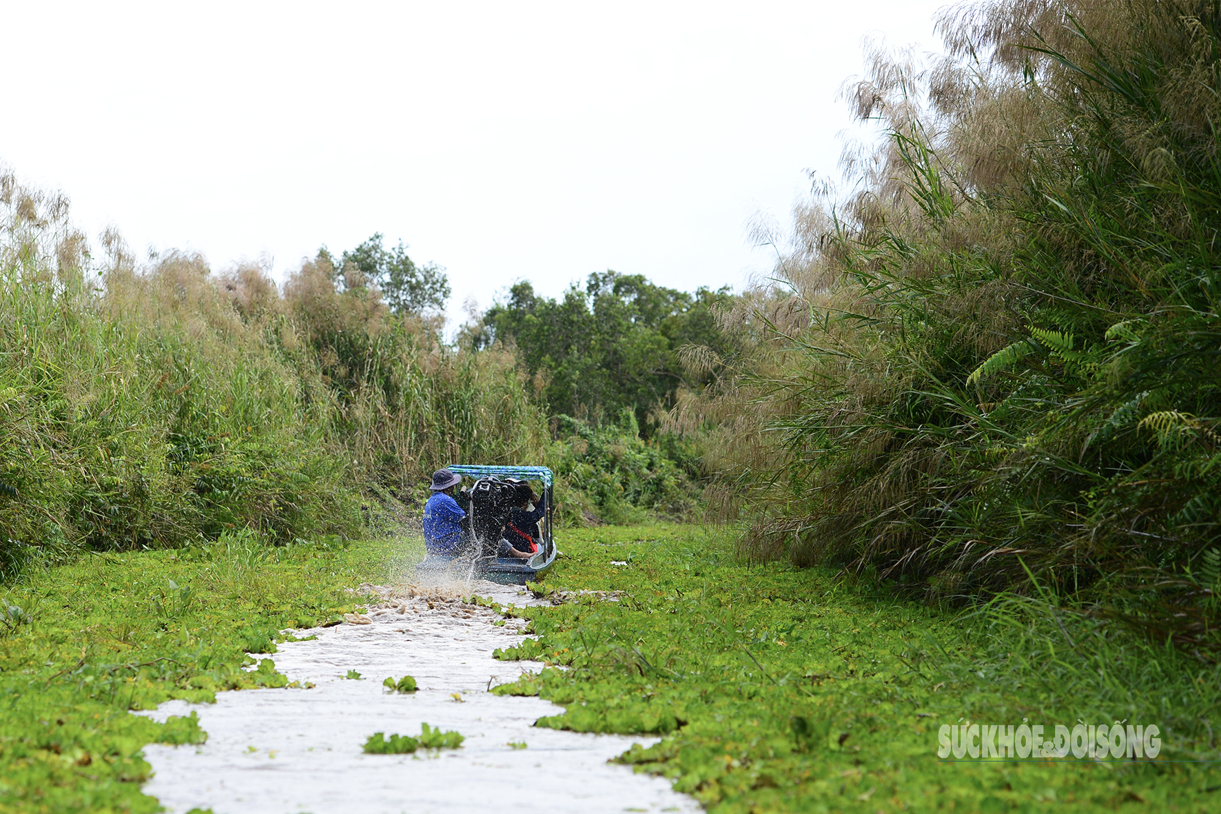 Vẻ đẹp nguyên sơ của 'ốc đảo sinh quyển' U Minh Thượng- Ảnh 4.