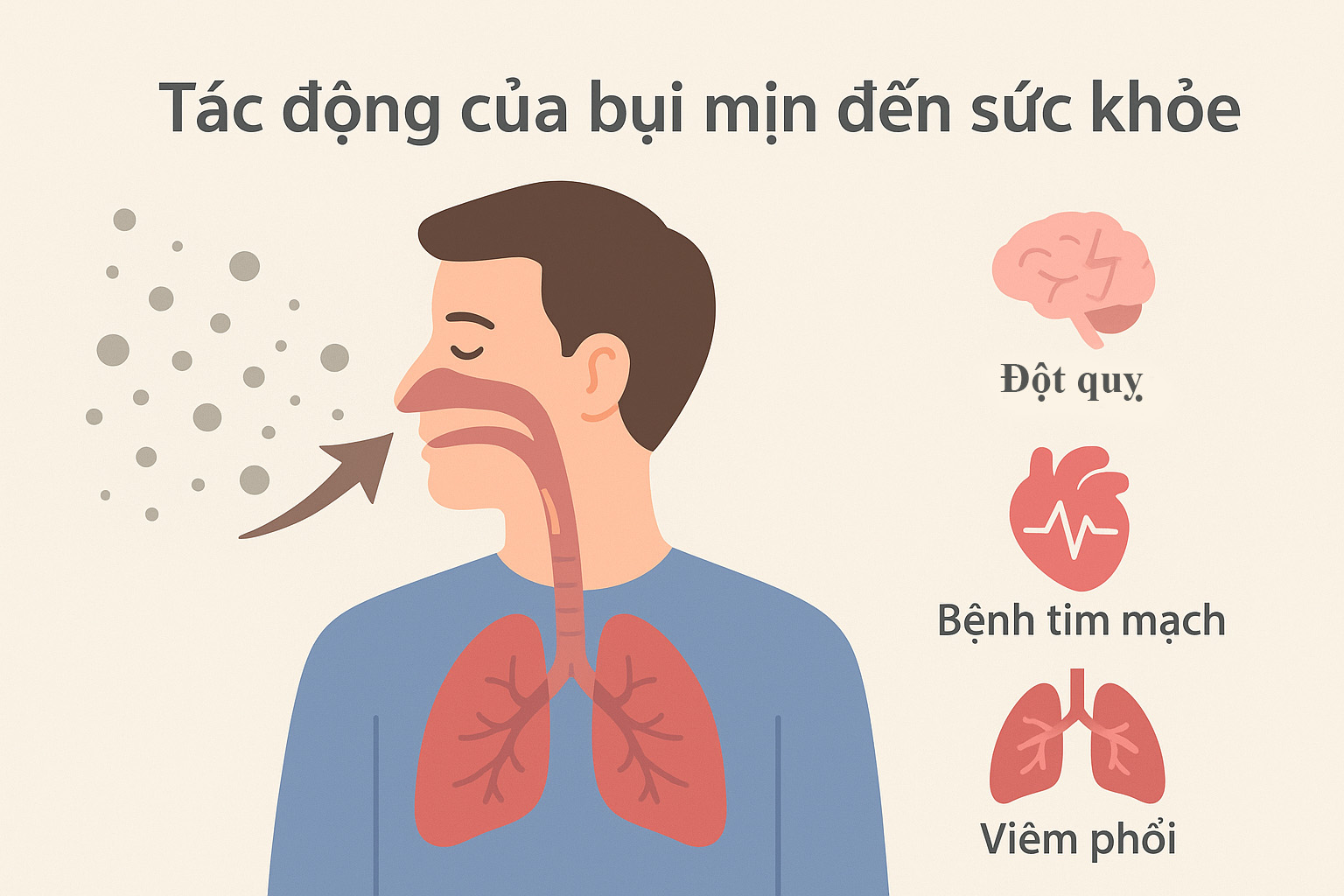 Bụi mịn đe doạ phổi và cơ quan hô hấp như thế nào?