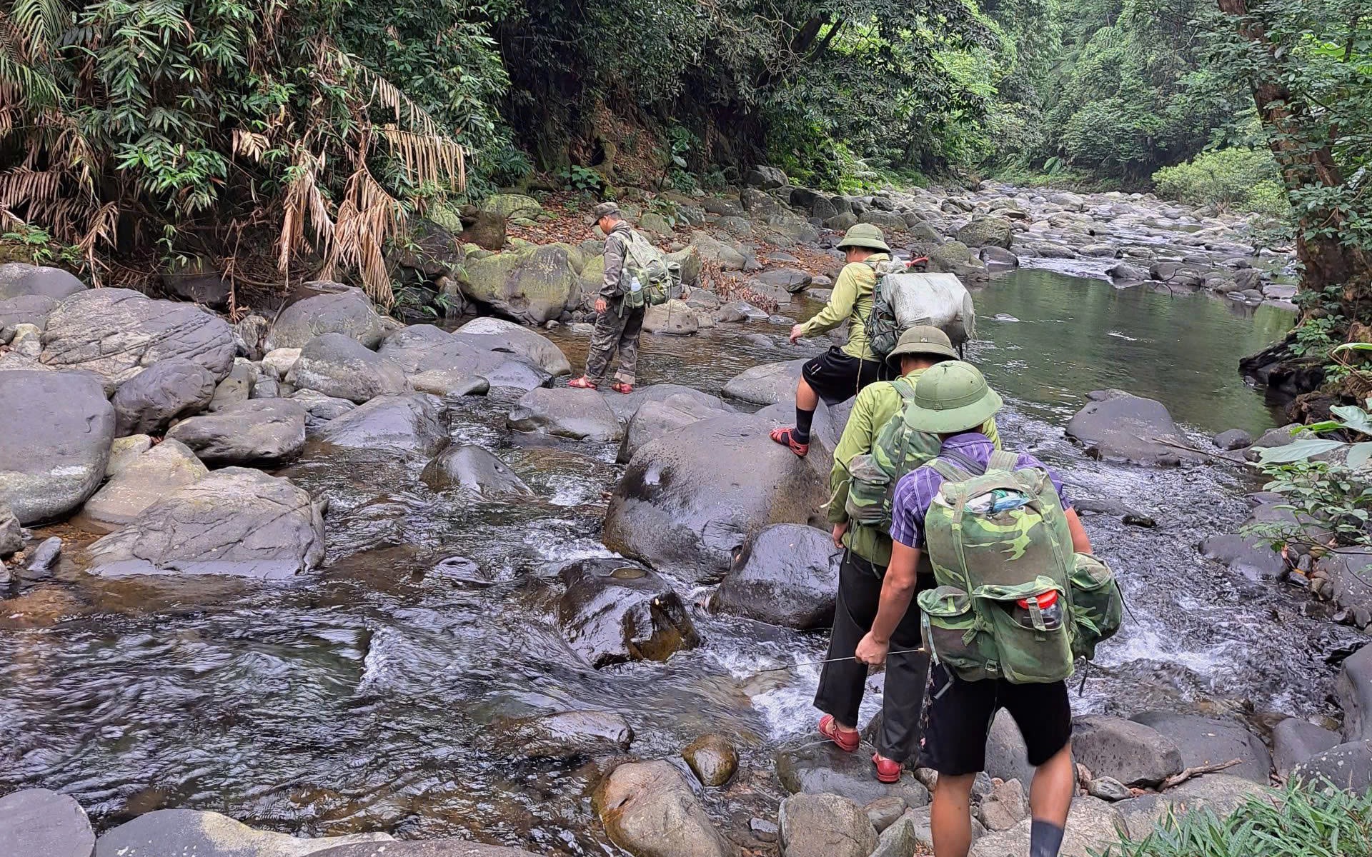 Những hiểm nguy trong hành trình bảo vệ động vật hoang dã quý hiếm