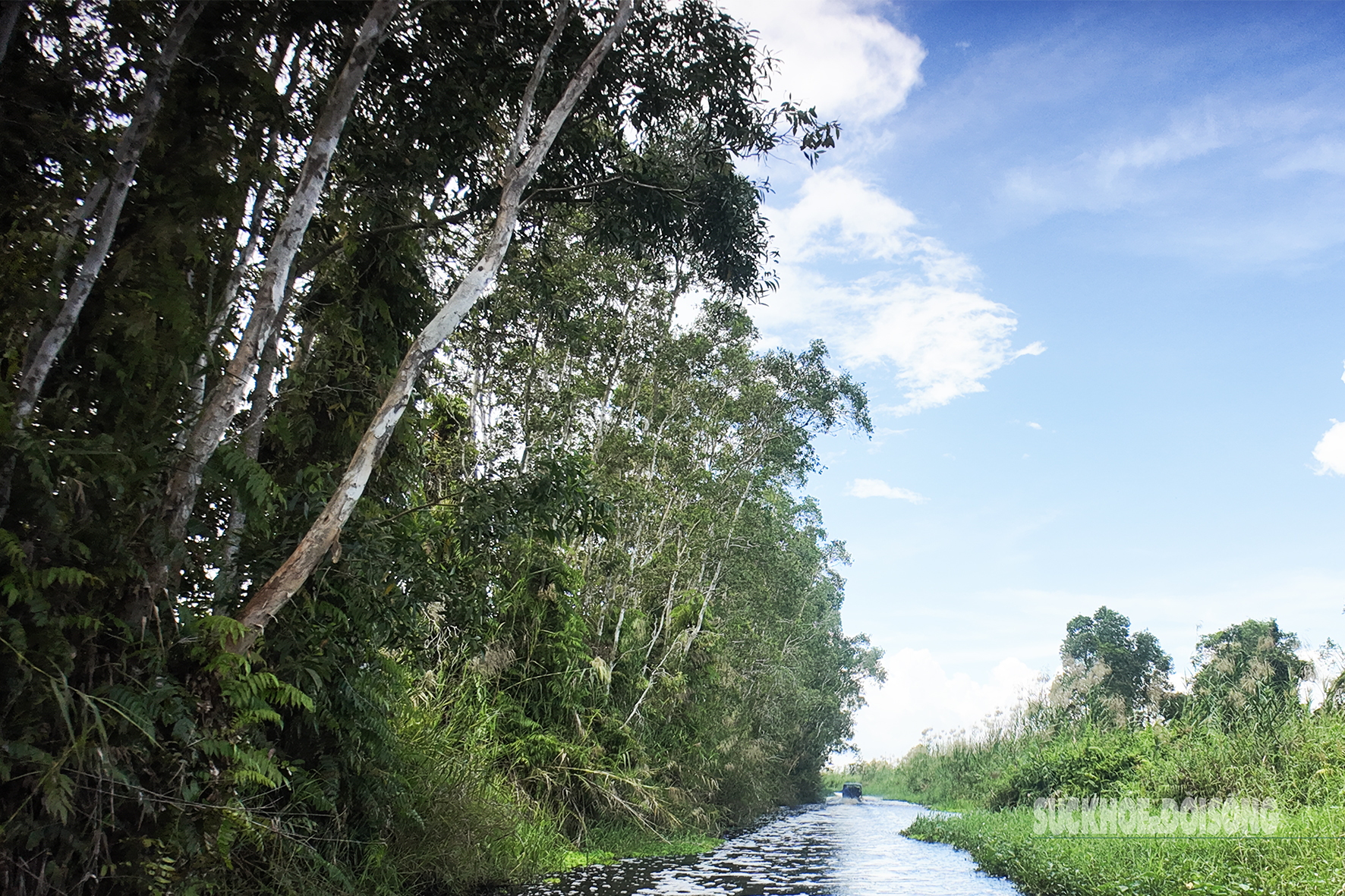 Vẻ đẹp nguyên sơ của 'ốc đảo sinh quyển' U Minh Thượng- Ảnh 9.