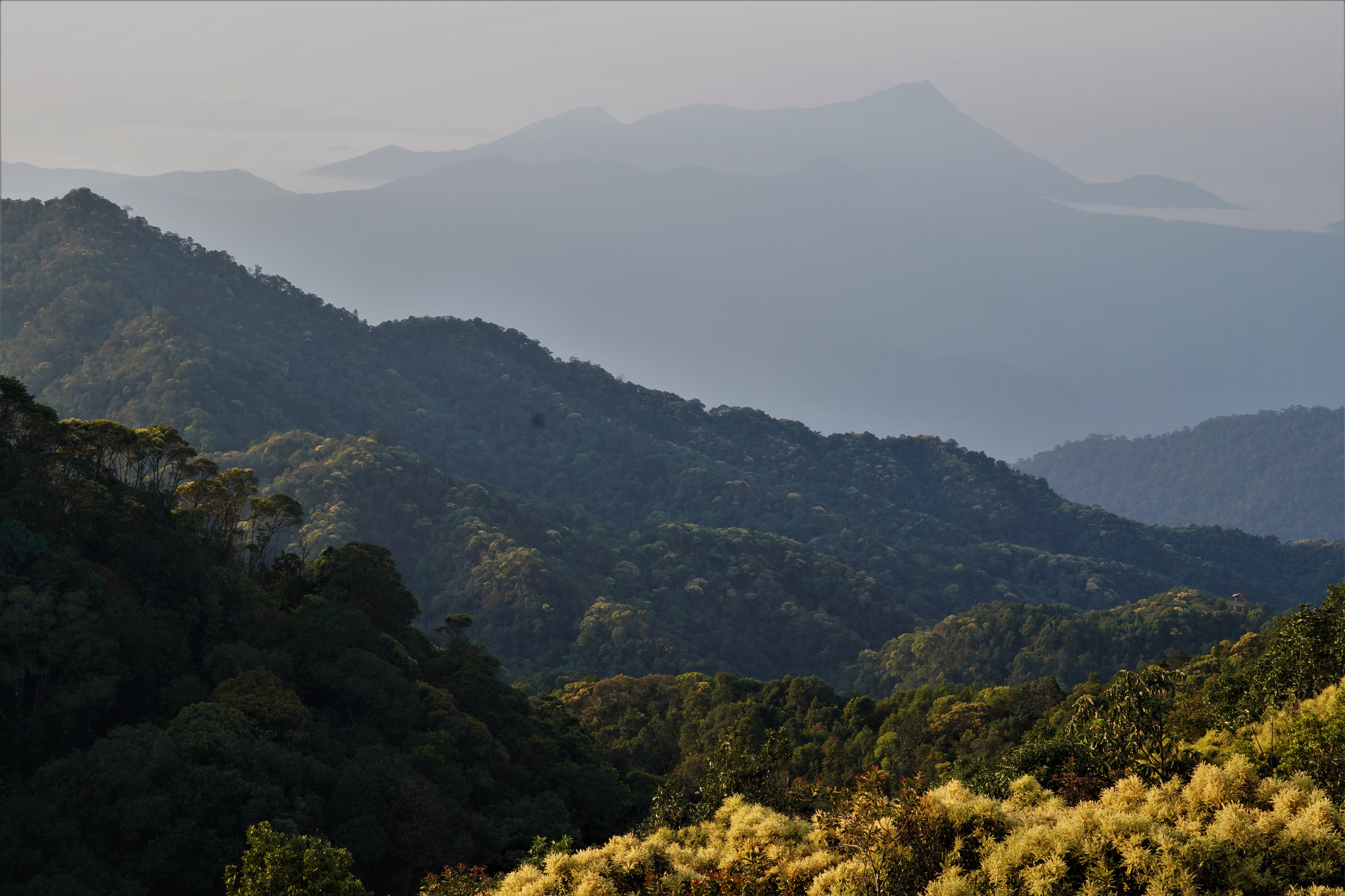 Khám phá Vườn di sản ASEAN, 'mái nhà chung' của nhiều loài động vật quý hiếm ở Huế- Ảnh 1. Khám phá Vườn di sản ASEAN, 'mái nhà chung' của nhiều loài động vật quý hiếm ở Huế- Ảnh 1.