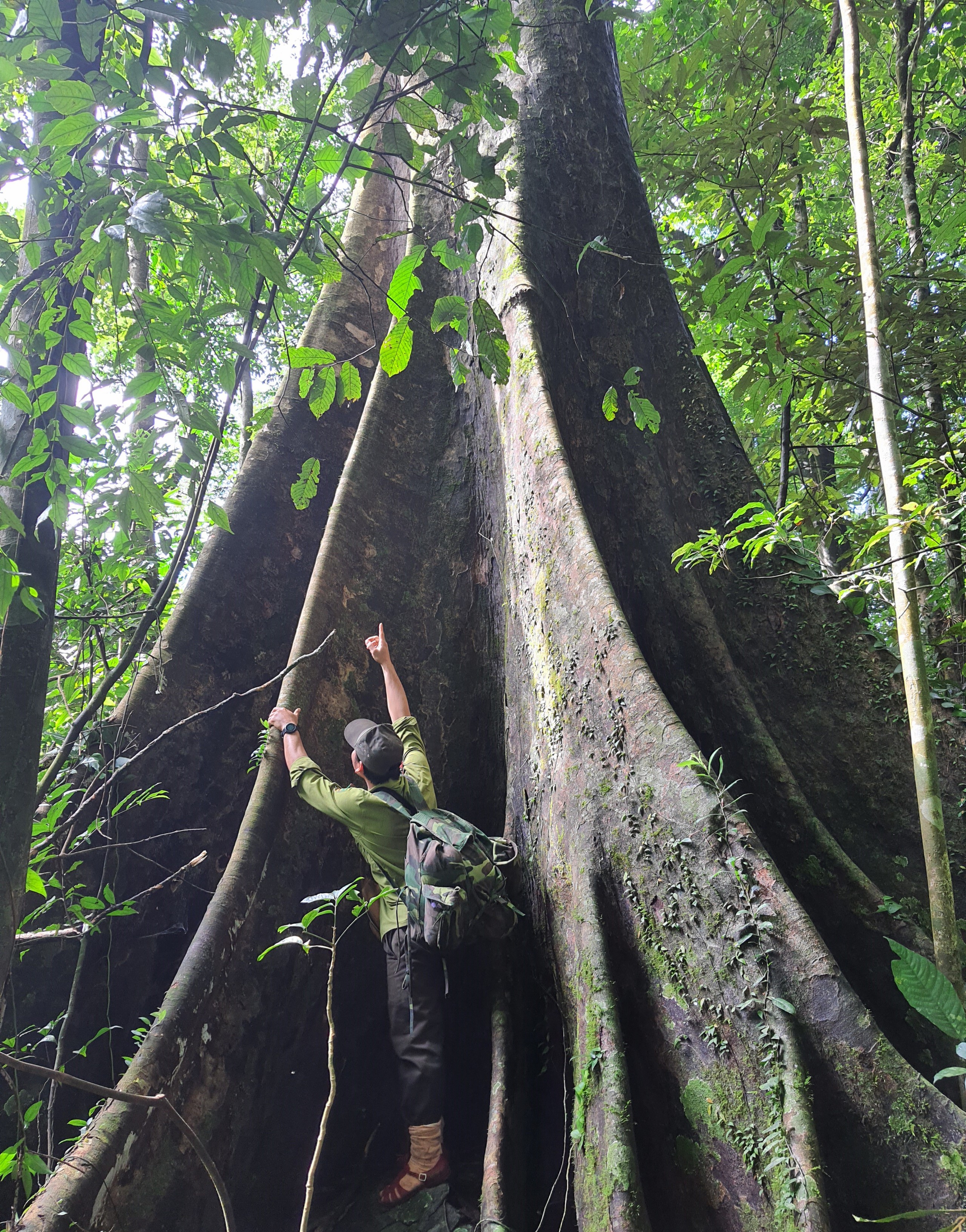 Khám phá Vườn di sản ASEAN, 'mái nhà chung' của nhiều loài động vật quý hiếm ở Huế- Ảnh 7. Khám phá Vườn di sản ASEAN, 'mái nhà chung' của nhiều loài động vật quý hiếm ở Huế- Ảnh 7.