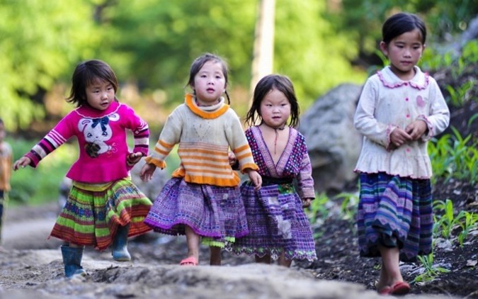 Nâng cao tầm vóc học sinh: Bài học từ quốc tế và 3 ưu tiên cấp bách- Ảnh 3. Đề xuất bố trí 10–12% kinh phí hằng năm cho bổ sung dinh dưỡng và chống béo phì, thấp còi