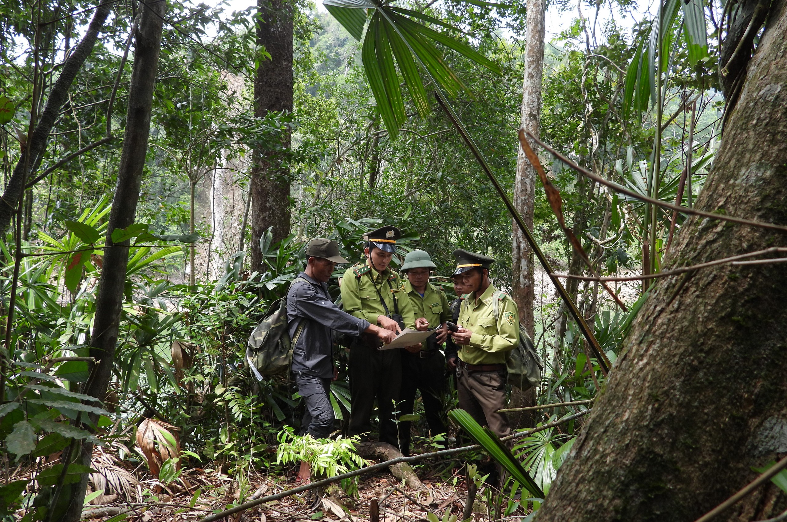 Khám phá Vườn di sản ASEAN, 'mái nhà chung' của nhiều loài động vật quý hiếm ở Huế- Ảnh 6. Khám phá Vườn di sản ASEAN, 'mái nhà chung' của nhiều loài động vật quý hiếm ở Huế- Ảnh 6.