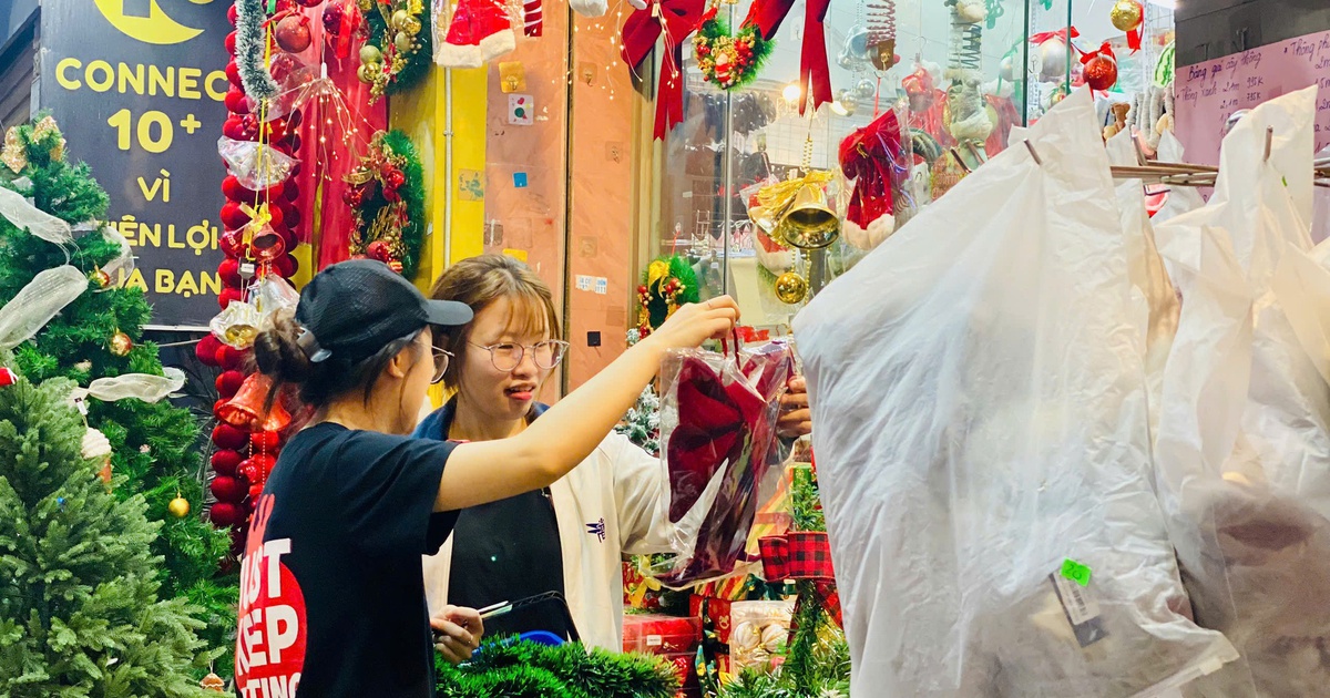 Thông tươi giá rẻ được chị em ‘săn đón’ trang trí dịp Giáng sinh 2025