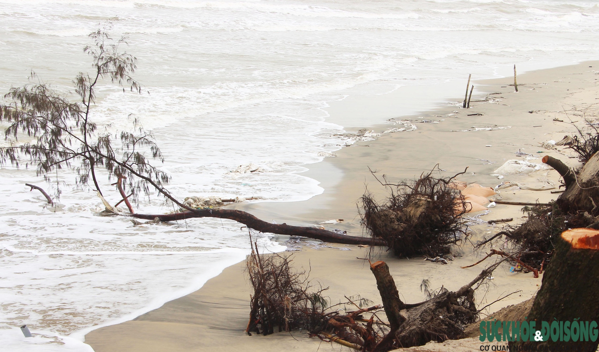 Cận cảnh bờ biển bị sóng dữ xé toạc, đe dọa 'nuốt' hàng loạt công trình- Ảnh 3. Cận cảnh bờ biển bị sóng dữ xé toạc, đe dọa 'nuốt' hàng loạt công trình- Ảnh 3.