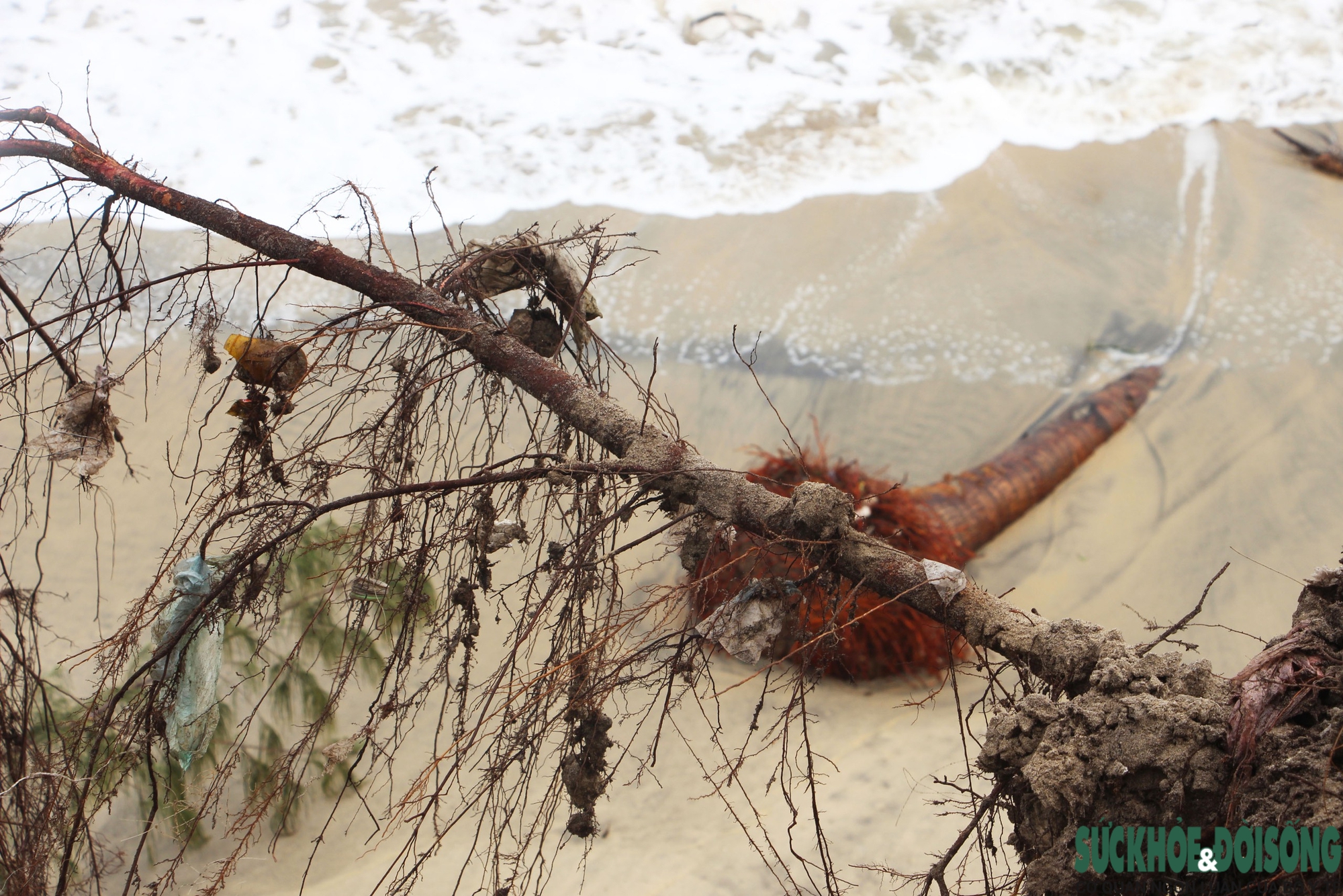 Cận cảnh bờ biển bị sóng dữ xé toạc, đe dọa 'nuốt' hàng loạt công trình- Ảnh 5. Cận cảnh bờ biển bị sóng dữ xé toạc, đe dọa 'nuốt' hàng loạt công trình- Ảnh 5.