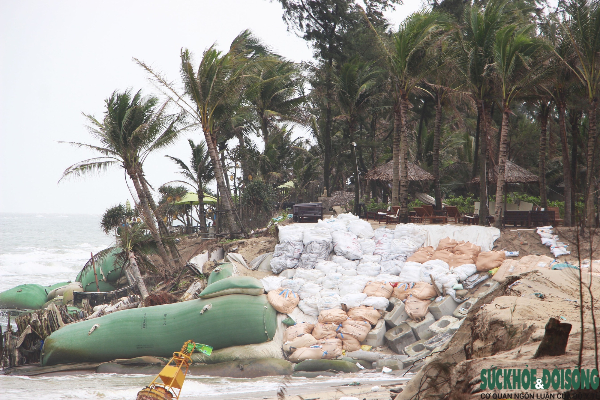 Cận cảnh bờ biển bị sóng dữ xé toạc, đe dọa 'nuốt' hàng loạt công trình- Ảnh 7. Cận cảnh bờ biển bị sóng dữ xé toạc, đe dọa 'nuốt' hàng loạt công trình- Ảnh 7.