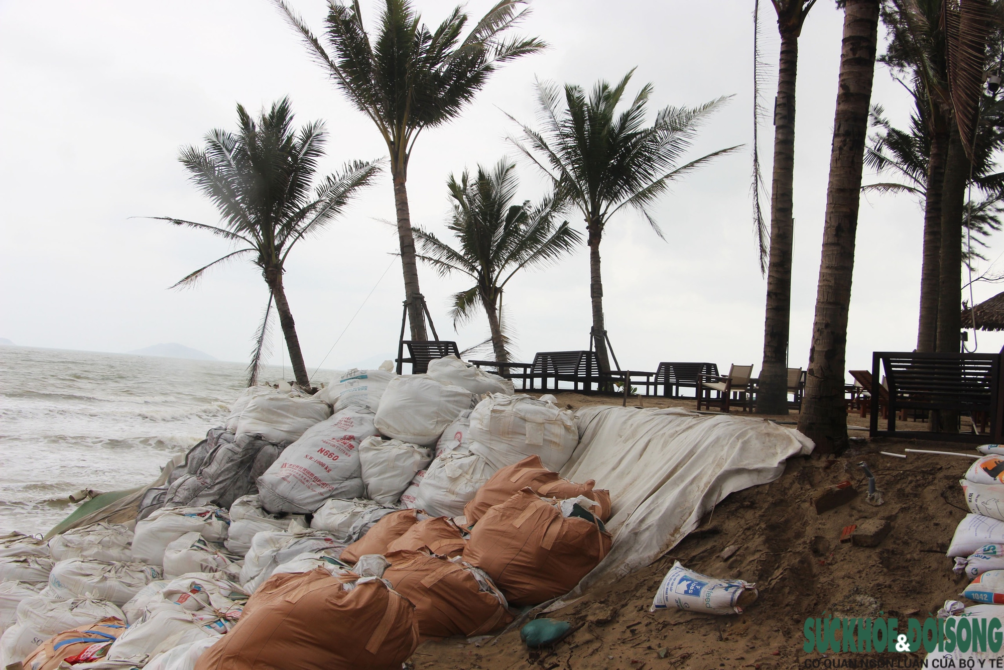 Cận cảnh bờ biển bị sóng dữ xé toạc, đe dọa 'nuốt' hàng loạt công trình- Ảnh 11. Cận cảnh bờ biển bị sóng dữ xé toạc, đe dọa 'nuốt' hàng loạt công trình- Ảnh 11.