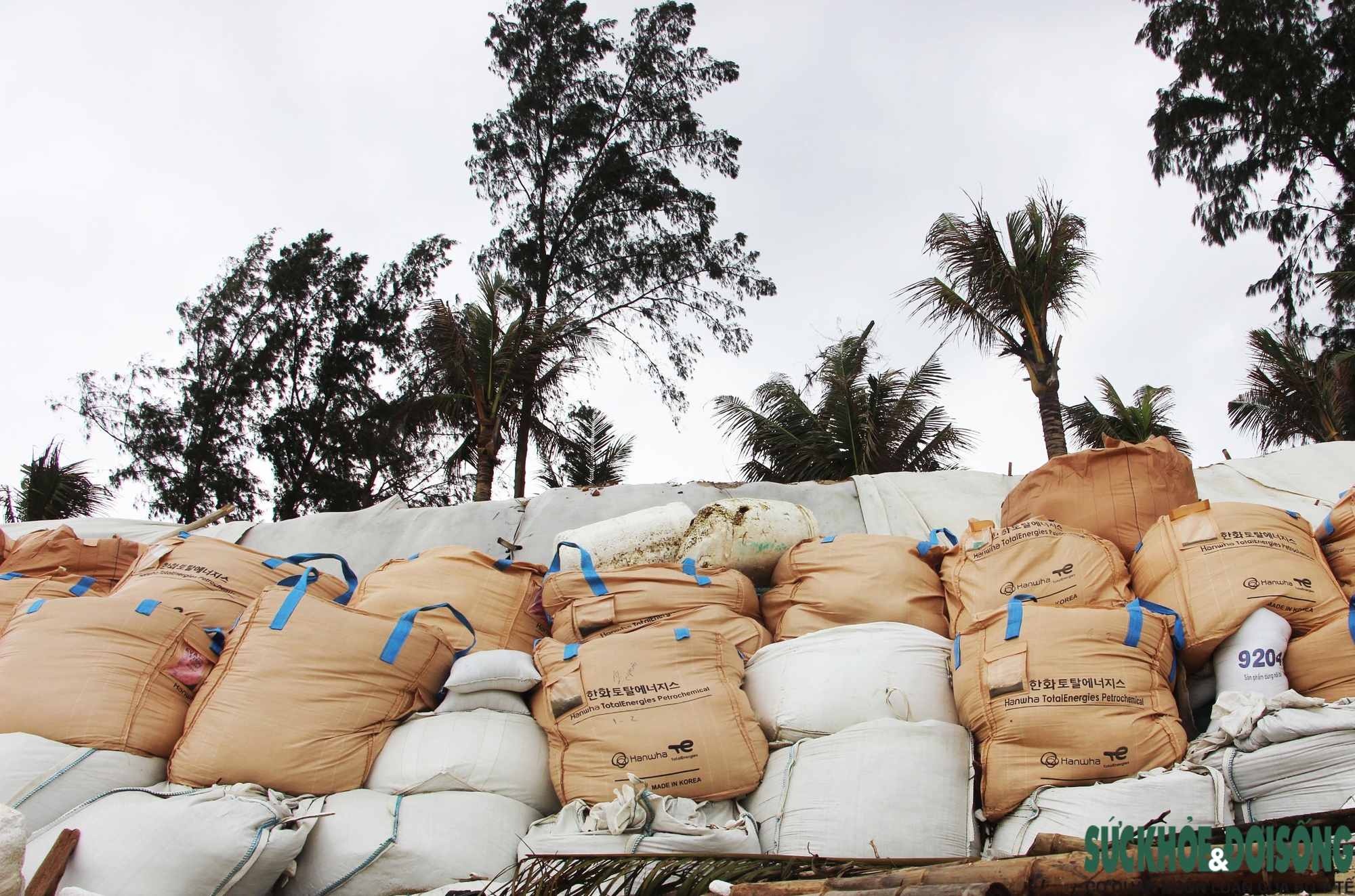 Cận cảnh bờ biển bị sóng dữ xé toạc, đe dọa 'nuốt' hàng loạt công trình- Ảnh 13. Cận cảnh bờ biển bị sóng dữ xé toạc, đe dọa 'nuốt' hàng loạt công trình- Ảnh 13.