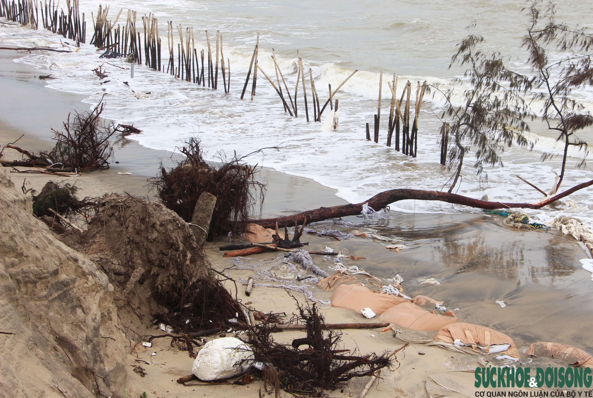 Cận cảnh bờ biển bị sóng dữ xé toạc, đe dọa 'nuốt' hàng loạt công trình- Ảnh 15. Cận cảnh bờ biển bị sóng dữ xé toạc, đe dọa 'nuốt' hàng loạt công trình- Ảnh 15.
