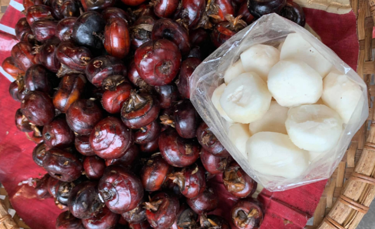 Củ năng (củ mã thầy) có tác dụng gì?- Ảnh 1. Củ năng (củ mã thầy) có tác dụng gì?- Ảnh 1.