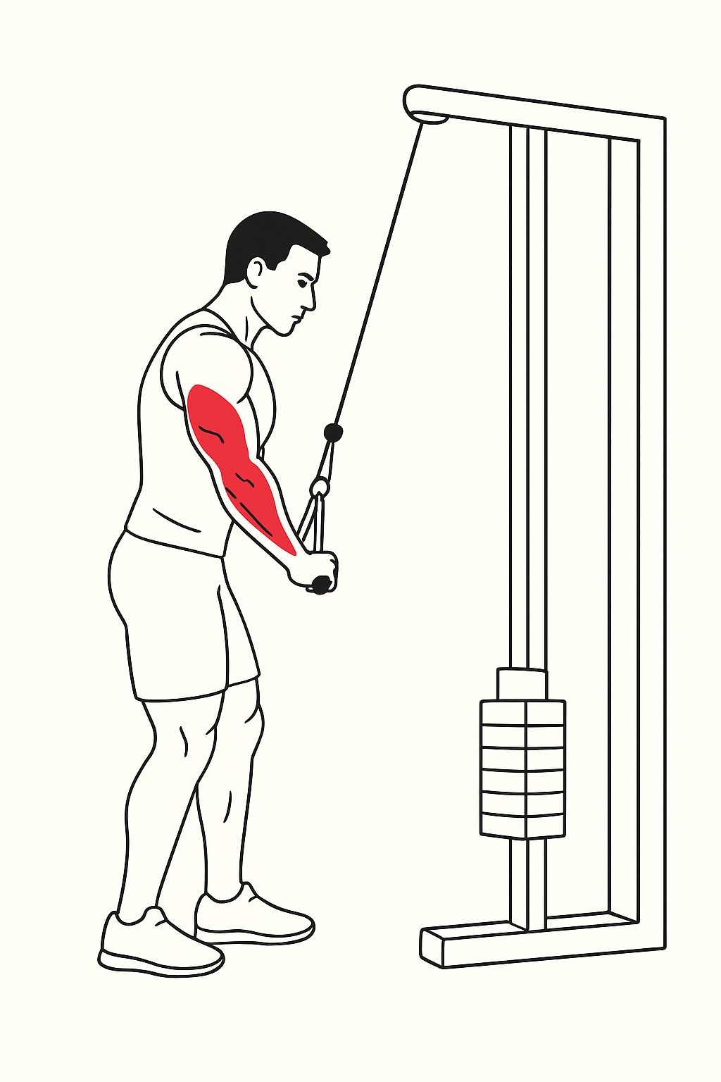 3 bài tập không giúp tăng cơ bắp và cách xử trí đúng- Ảnh 3.