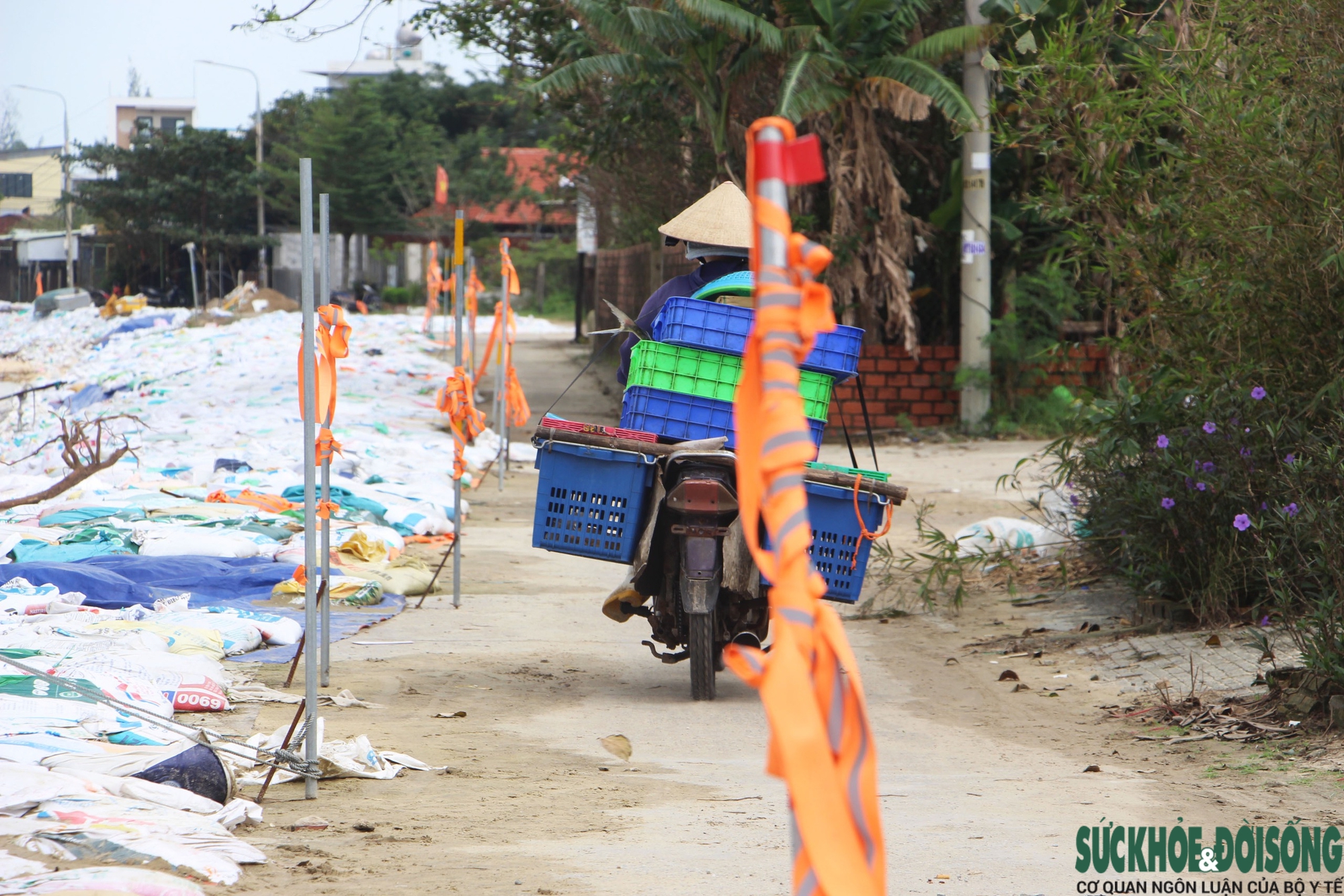 Cả làng chạy đua với thời gian, giành từng mét đất trước 'hà bá'- Ảnh 4. Cả làng chạy đua với thời gian, giành từng mét đất trước 'hà bá'- Ảnh 4.