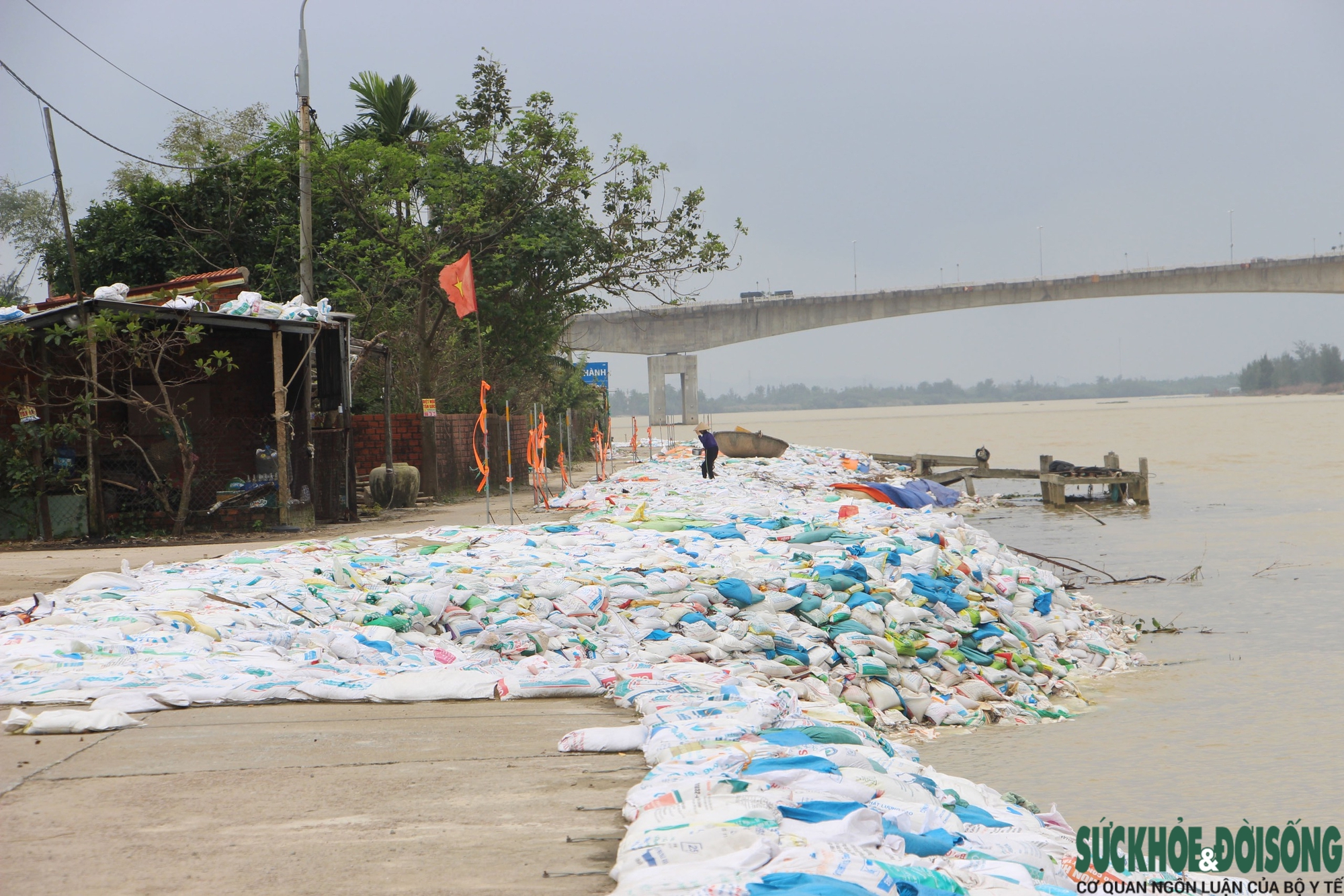 Cả làng chạy đua với thời gian, giành từng mét đất trước 'hà bá'- Ảnh 5. Cả làng chạy đua với thời gian, giành từng mét đất trước 'hà bá'- Ảnh 5.