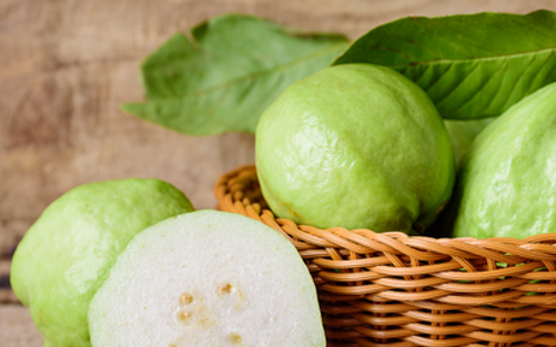 photo 1765185945071 17651859454491053844928 0 0 313 501 crop 1765186126788772304431