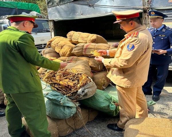 Phát hiện gần 3 tấn lá cây thuốc lá sấy khô không rõ nguồn gốc- Ảnh 1.