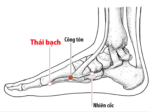 Xoa bóp bấm huyệt hỗ trợ giảm cân sau Tết- Ảnh 4.