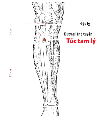 Xoa bóp bấm huyệt hỗ trợ giảm cân sau Tết- Ảnh 2.