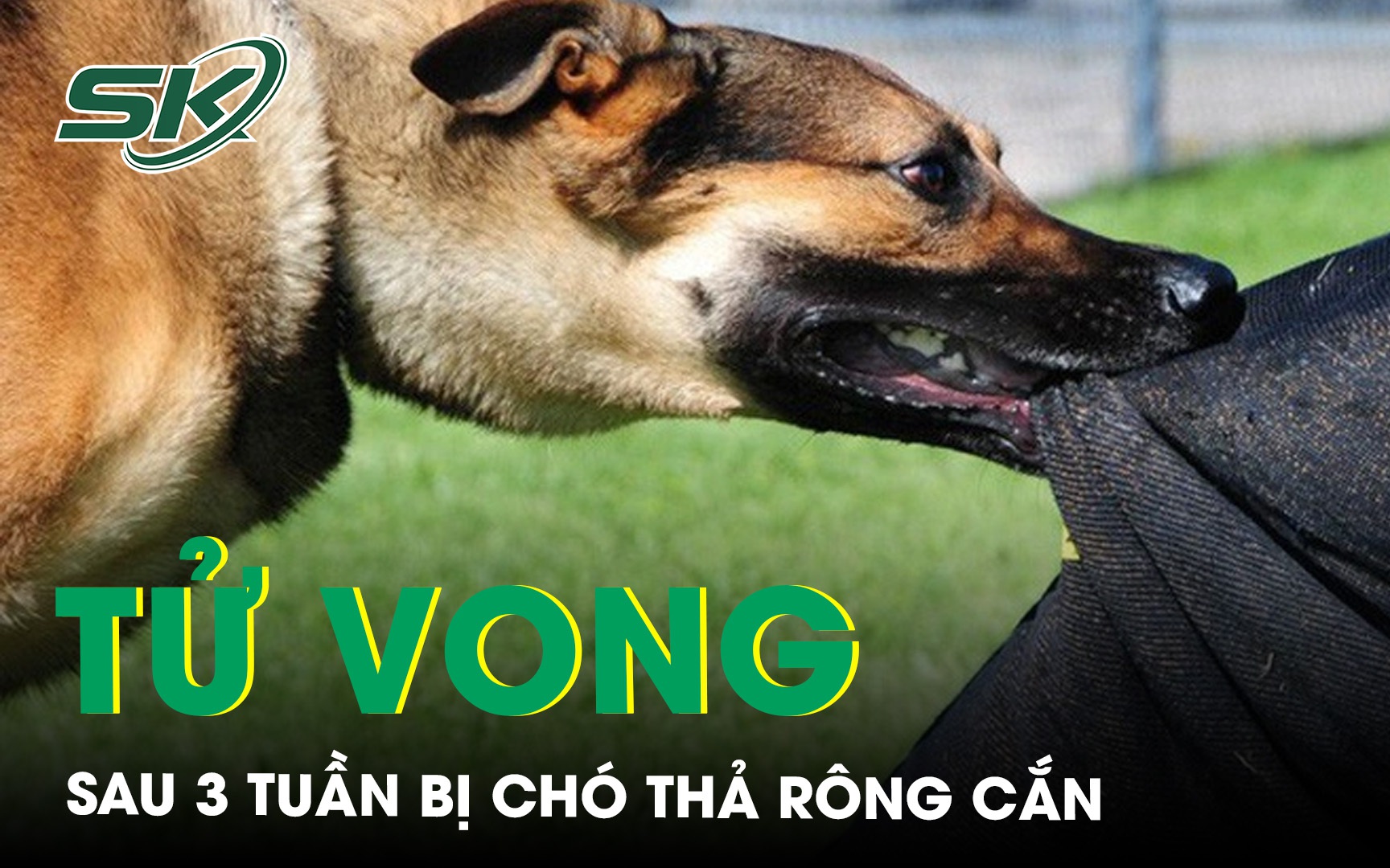 Người đàn ông tử vong vì phát bệnh dại sau 3 tuần bị chó thả rông cắn 