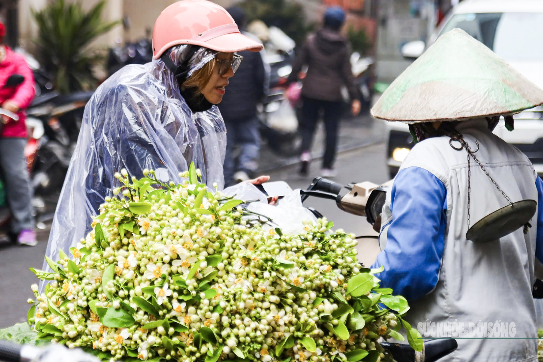 Người Hà Nội rủ nhau mua hoa bưởi đầu mùa bày mâm cúng Tết Nguyên tiêu- Ảnh 4.