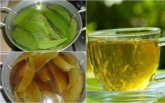 Uống nước lá ổi vào lúc nào trong ngày là tốt nhất?
