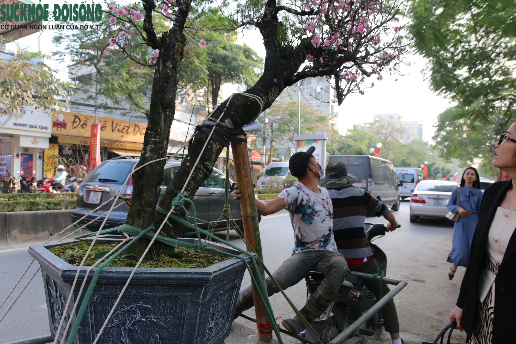 Xe ôm kiếm tiền triệu mỗi ngày nhờ chở thuê đào, quất sau Tết- Ảnh 5.