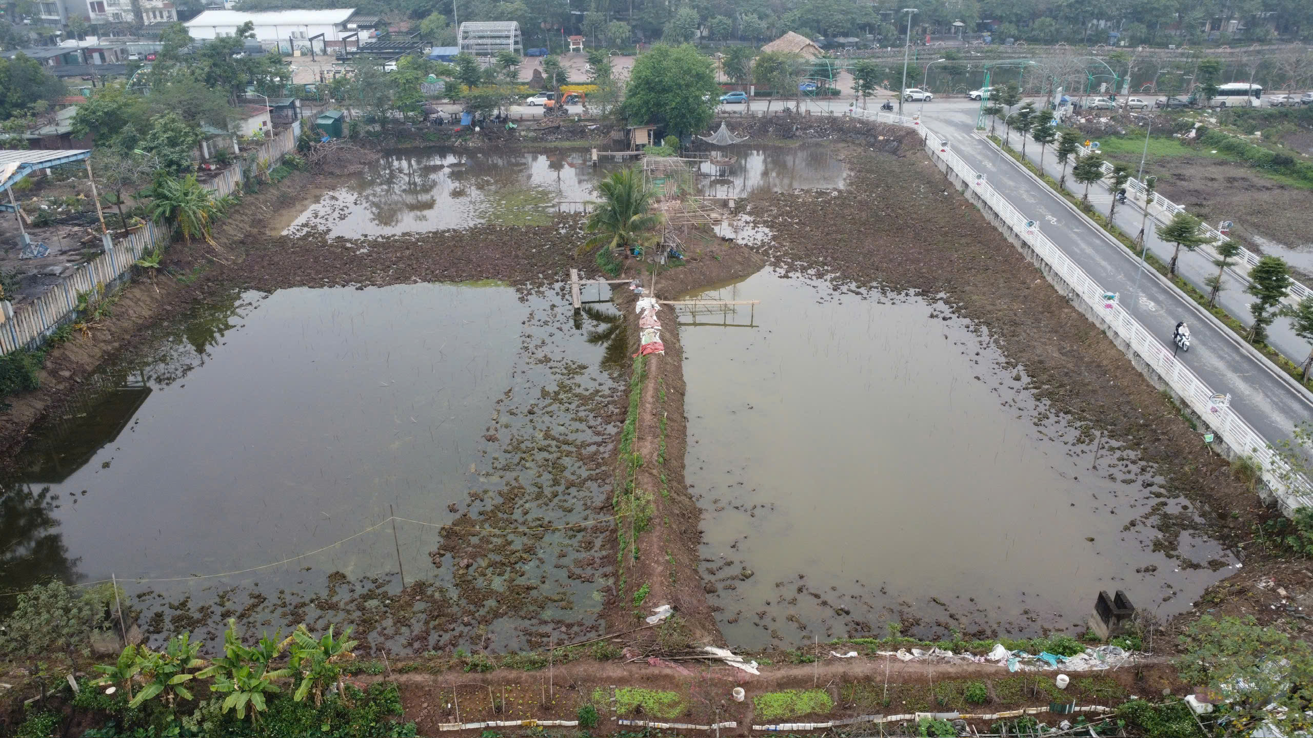 Hồ trồng sen sẽ là nơi dự trữ nước để làm sạch sông Tô Lịch- Ảnh 4.