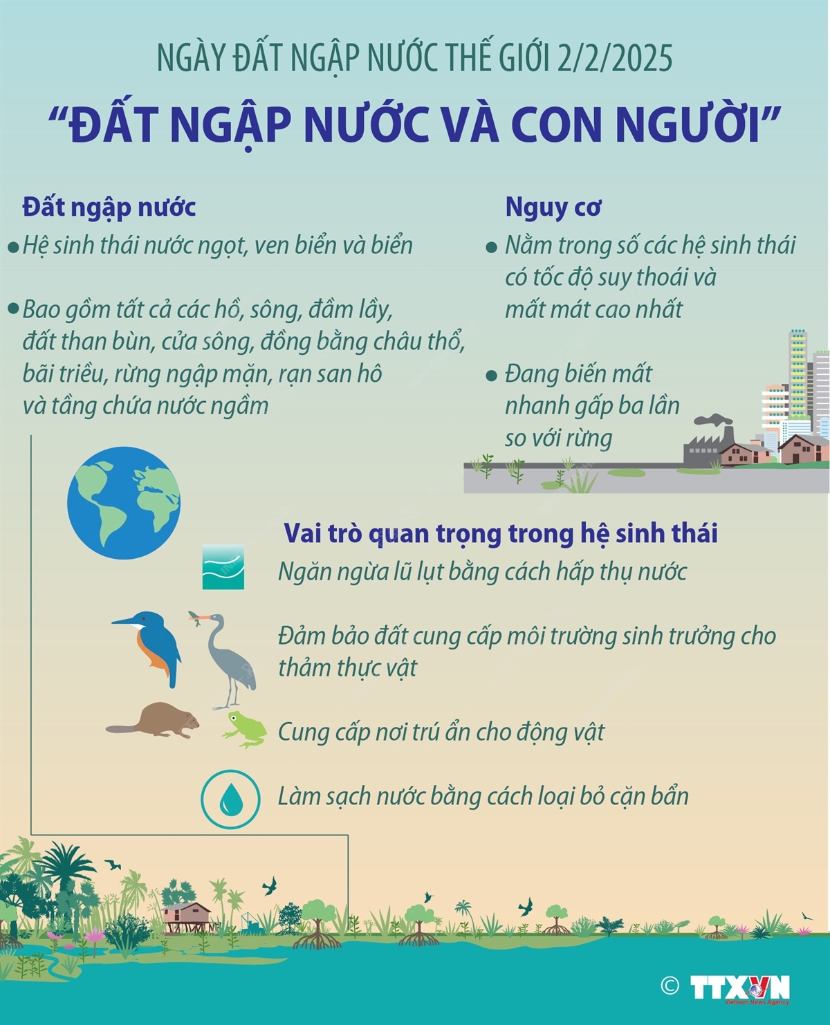 Ngày Đất ngập nước thế giới 2/2/2025: 'Đất ngập nước và Con người'- Ảnh 1.