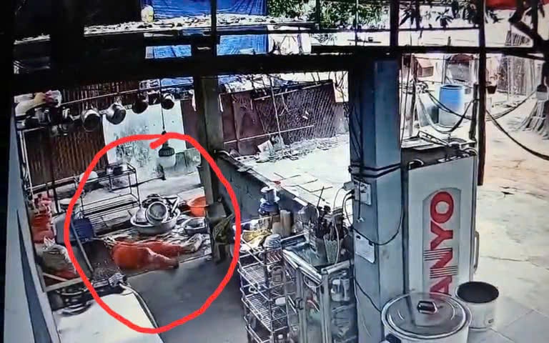 Video: Người phụ nữ cao tuổi đang rửa bát bất ngờ bị một thanh niên đánh gục