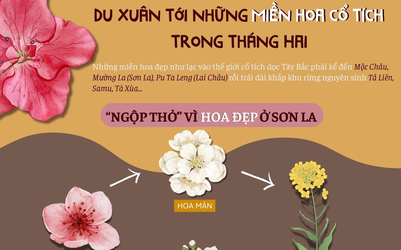 Điểm du xuân không nên bỏ lỡ khi về Hải Phòng- Ảnh 5.