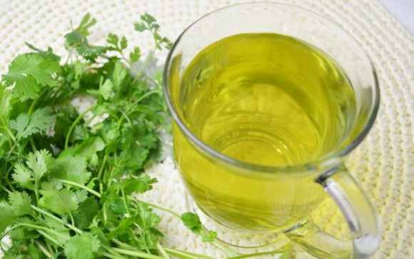 Uống nước lá rau mùi có lợi gì với sức khỏe?
