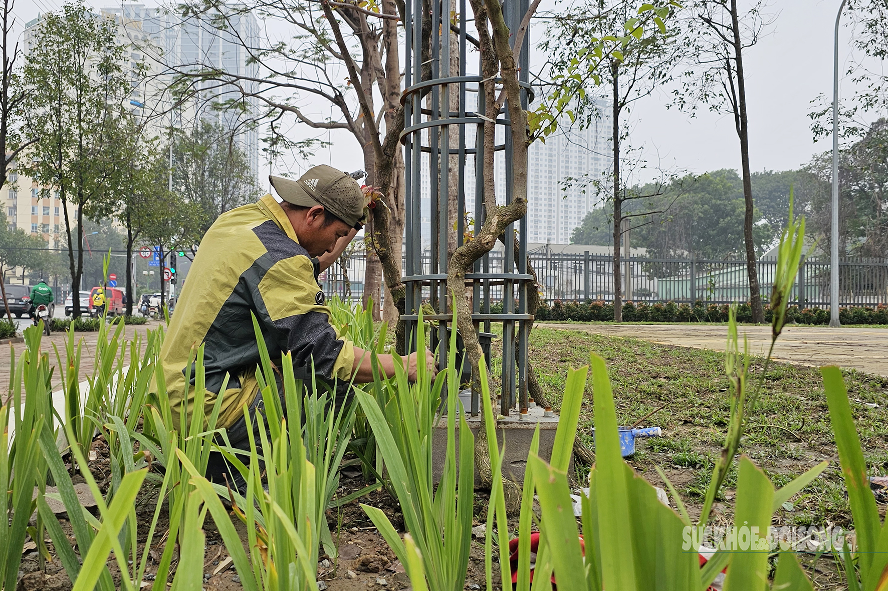 Diện mạo mới của công viên bỏ hoang sau gần 10 năm- Ảnh 3.