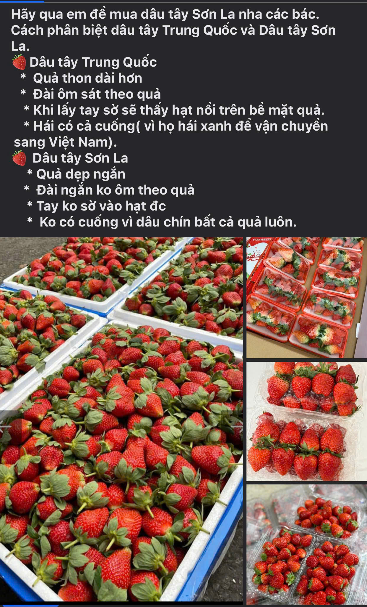 Dâu tây giá rẻ tràn ngập thị trường, tiểu thương bật mí cách nhận diện dâu tây Sơn La và Trung Quốc- Ảnh 4.