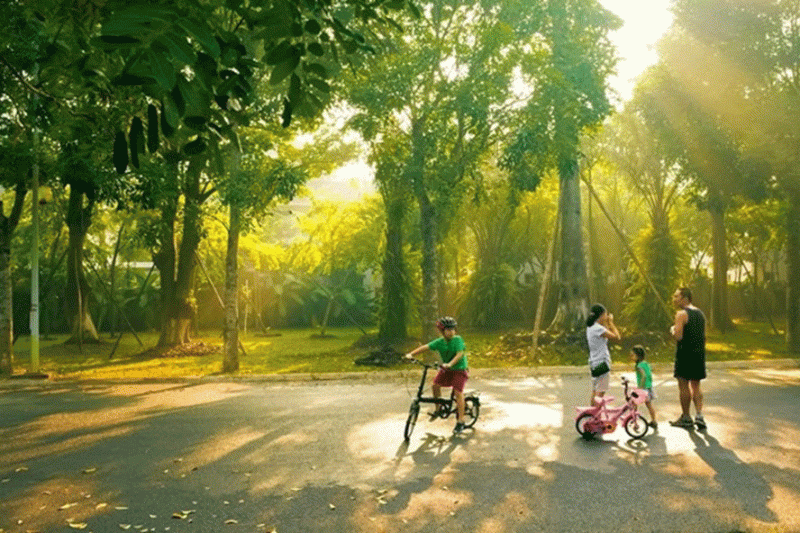 Miền Bắc duy trì nắng đẹp vào ban ngày, rét vào ban đêm và sáng sớm- Ảnh 2.