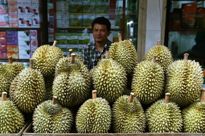 Thái Lan tiêu hủy hơn 60 tấn sầu riêng xuất khẩu bị nhiễm hóa chất gây ung thư- Ảnh 1.