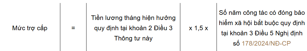 Cán bộ cấp xã nghỉ việc khi sắp xếp, tinh gọn bộ máy được hưởng những khoản trợ cấp nào?- Ảnh 4.