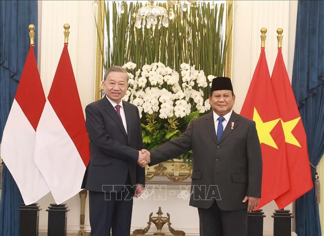 Tổng Bí thư Tô Lâm hội đàm với Tổng thống Indonesia Prabowo Subianto- Ảnh 1.