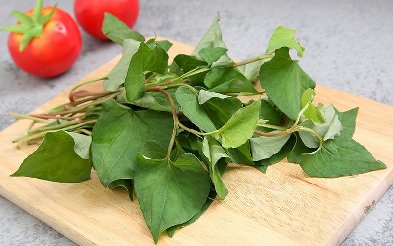 Dùng rau diếp cá 'bổ phổi' như thế nào?