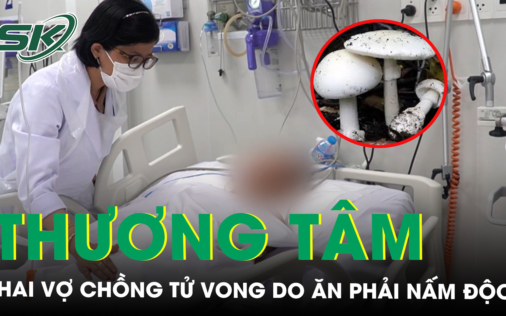 Thương tâm hai vợ chồng tử vong do ăn phải nấm độc hái trong rừng 