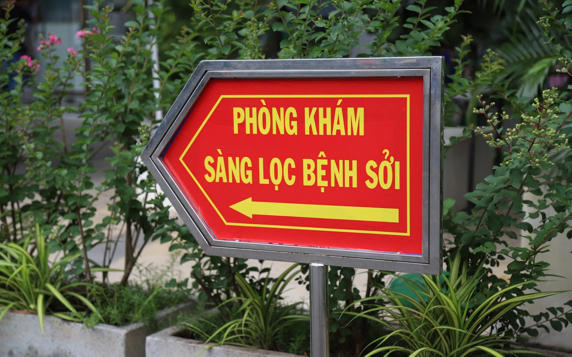 Bộ Y tế lập 6 đoàn kiểm tra đôn đốc phòng chống dịch sởi, triển khai chiến dịch tiêm vaccine 