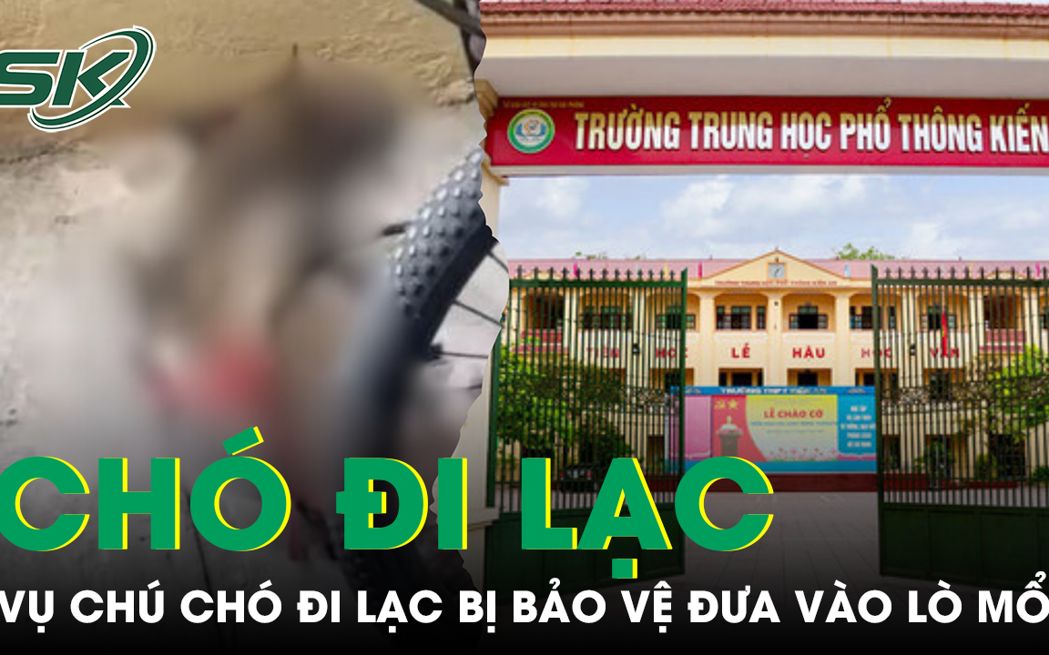 Thực hư vụ chú chó đi lạc bị bảo vệ nhà trường đem ra lò mổ