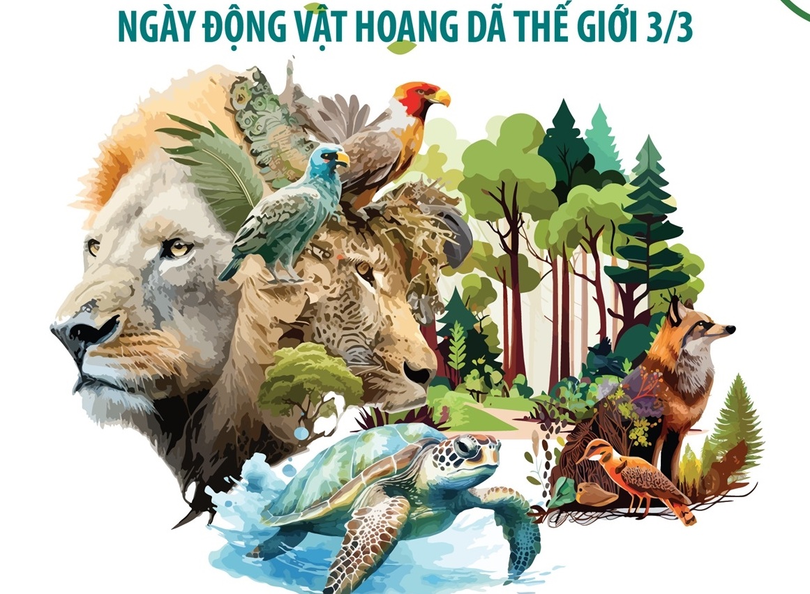 Ngày Động vật hoang dã thế giới 3/3: Những con số báo động